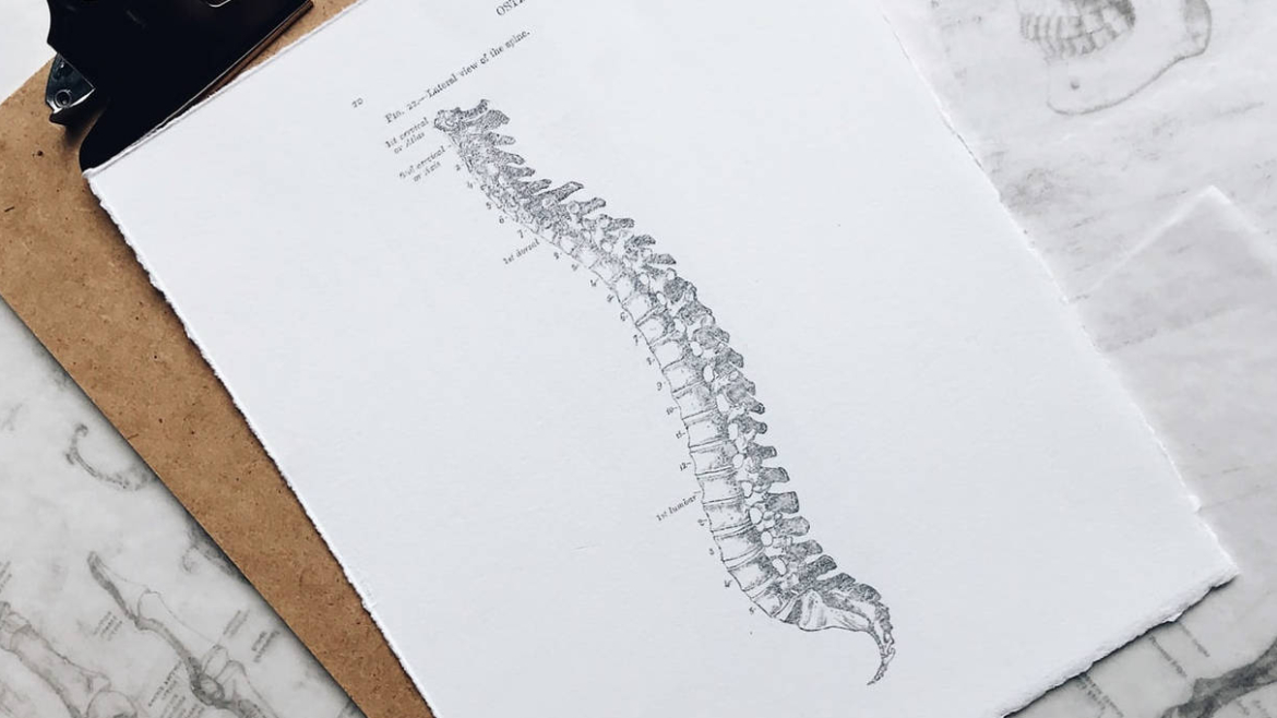 Welcome to Everett Spine & Rehab — More Than a Typical Chiropractor Office