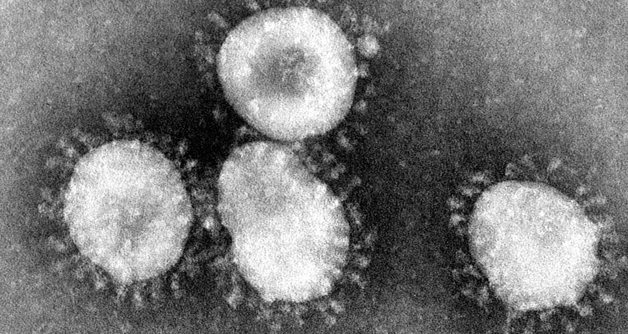 coronavirus in Washington state