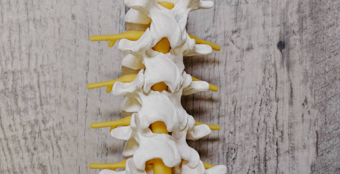 Traction Therapy in Chiropractic Care